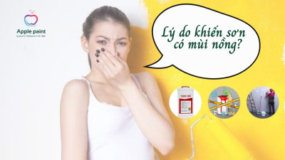 Lý Do Sơn Có Mùi Nồng? Sơn Mùi Nồng Có Độc Không & Cách Giảm Mùi!