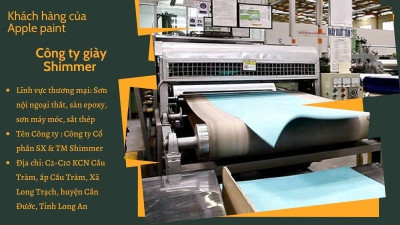 Công Ty Giày Shimmer